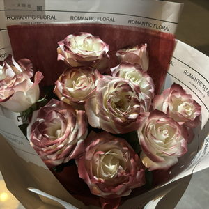 极品老师㧒开粉嫩小泬18p
