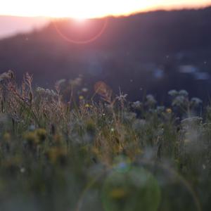 极品老师㧒开粉嫩小泬18p
