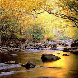 极品老师㧒开粉嫩小泬18p
